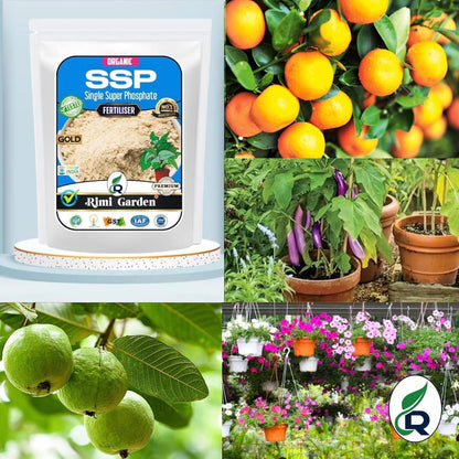 Single Super Phosphate, Essential Organic Fertilizer For Plant Growth (350 gm)