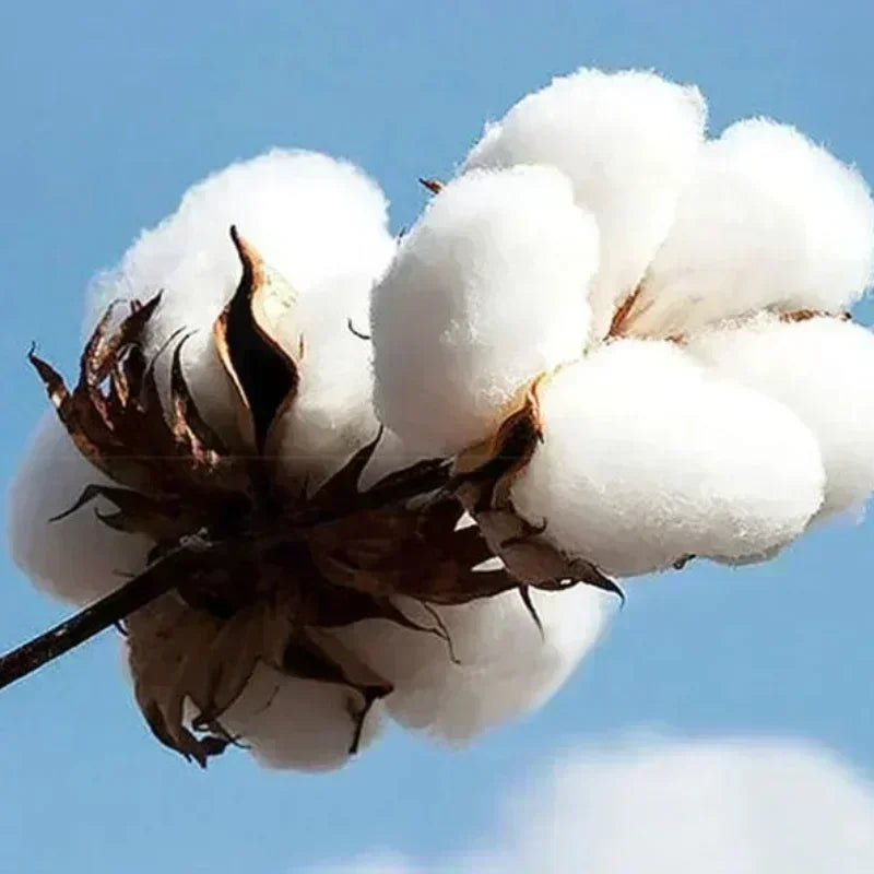 Nier 2B Yorha Gaming T-Shirt Anime T-shirt Unisex Anime Tee Japan Anime Style TSHIRT Cotton T-shirt Short-sleeved T-shirt